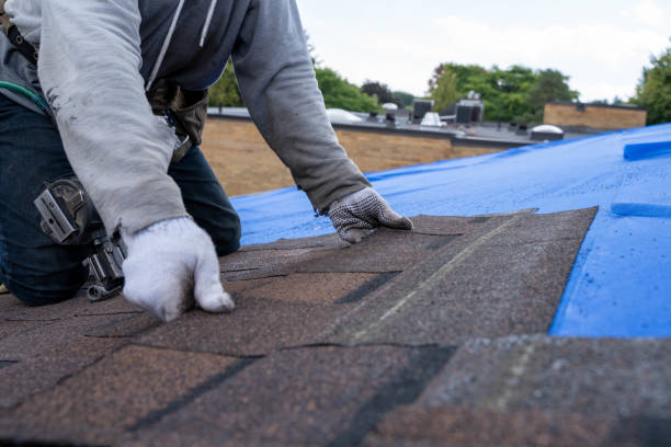 Professional Roofing Contractor in Rose Hill, KS